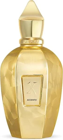 Xerjoff Accento Overdose EDP 100 ml Unisex Parfüm