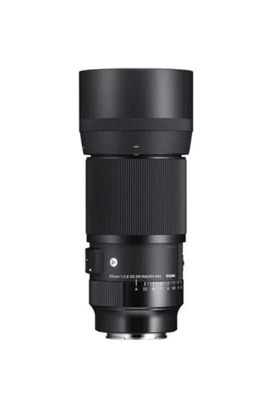 Sigma 105 mm F/2.8 Dg Dn Makro Sanat - Sony E Maunt