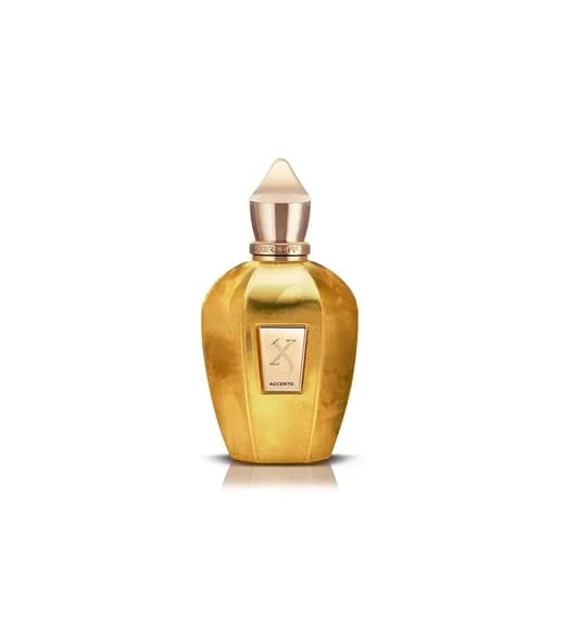 Xerjoff Accento Overdose EDP 100 ml Unisex Parfüm