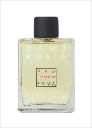 Profumum Roma Dambrosia 100 ml EDP Unisex Parfüm