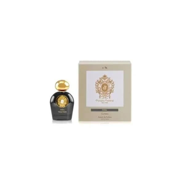 Tiziana Terenzi Comet Halley EDP 100 ml Unisex Parfüm