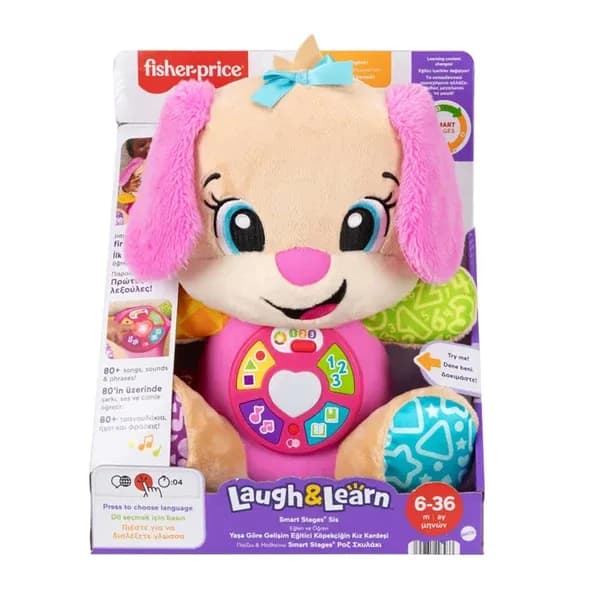 Fisher Price Eğitici Köpekçiğin Kız Kardeşi FPP83 (5 ADET)